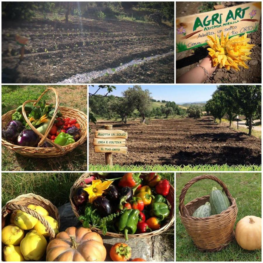 Agri Art Villa San Benedetto Ullano Eksteriør billede