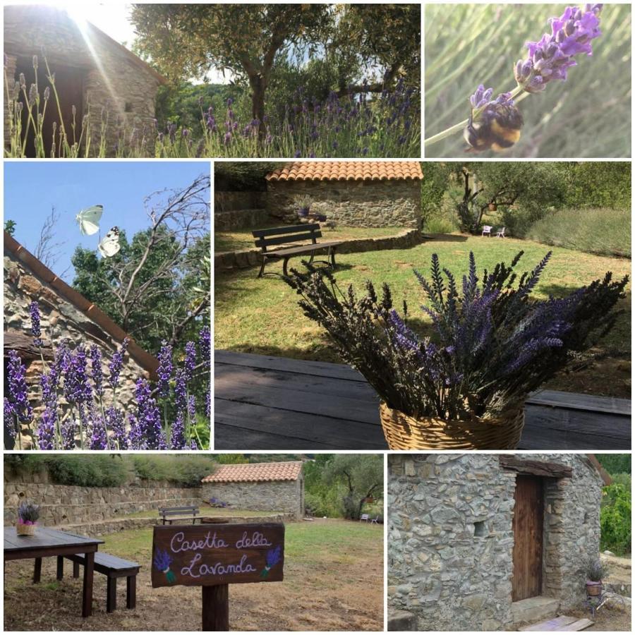 Agri Art Villa San Benedetto Ullano Eksteriør billede