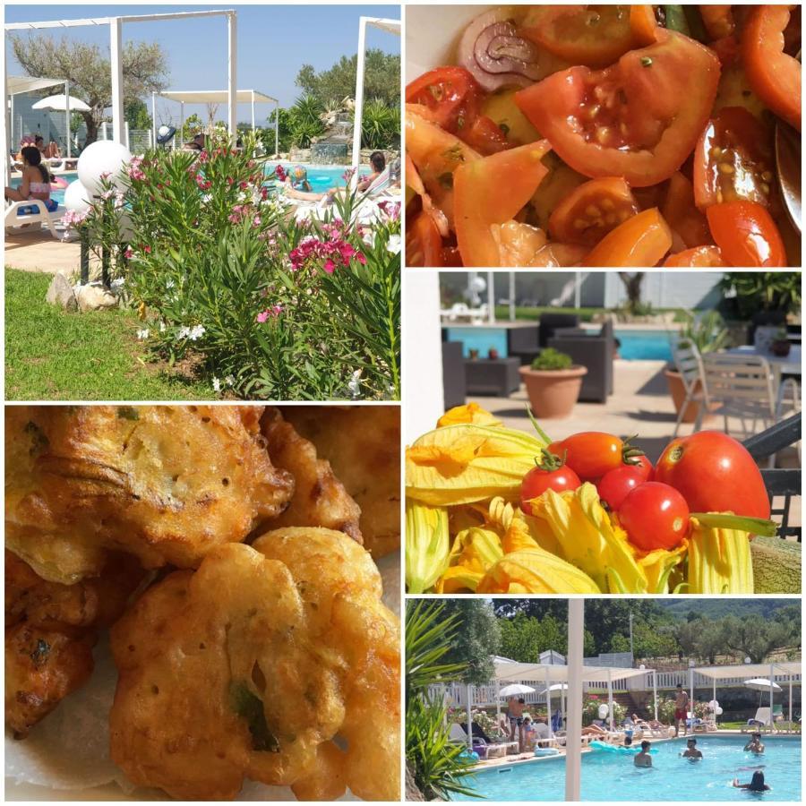 Agri Art Villa San Benedetto Ullano Eksteriør billede