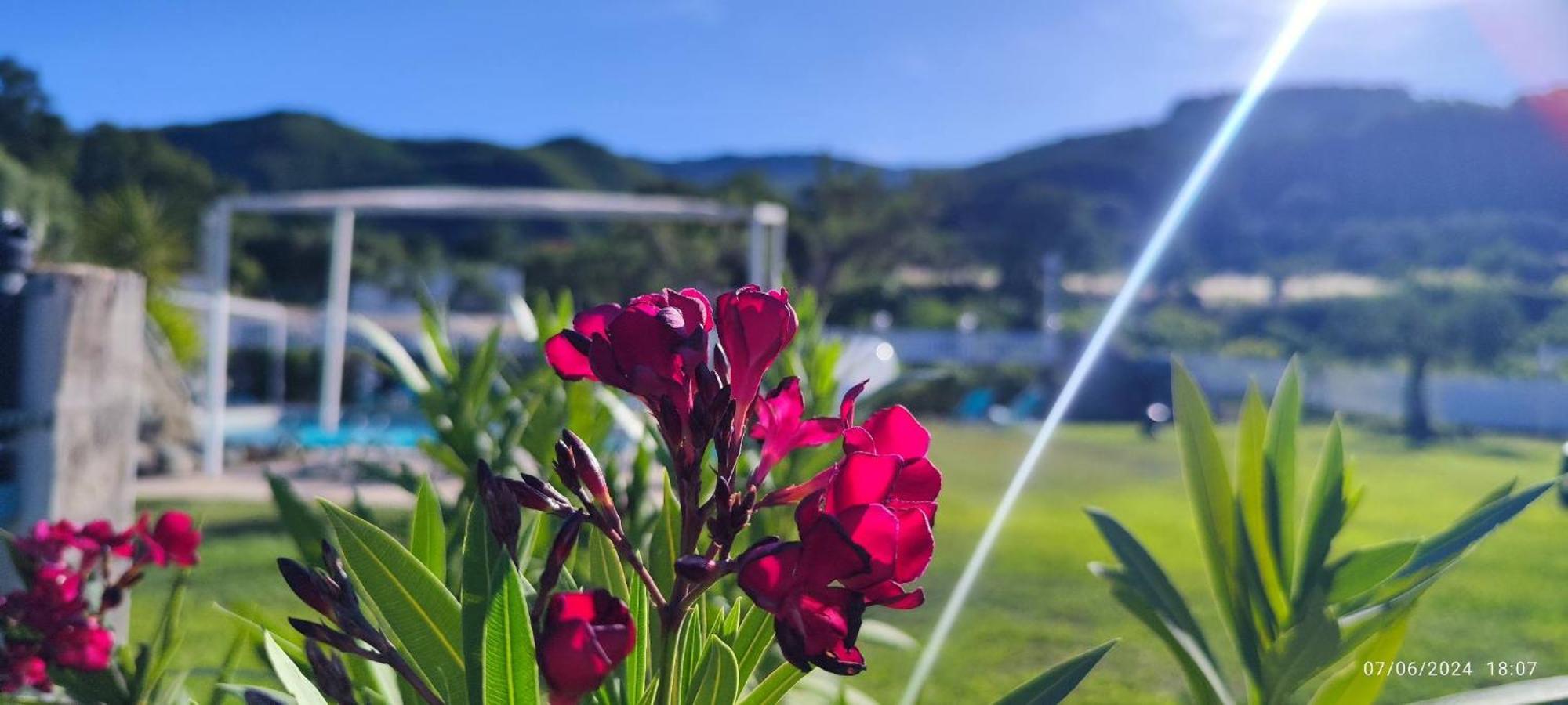 Agri Art Villa San Benedetto Ullano Eksteriør billede