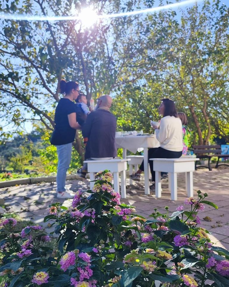 Agri Art Villa San Benedetto Ullano Eksteriør billede